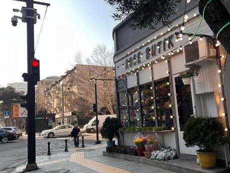 Obyekt - Elmlər Akademiyası m. - 176 m²