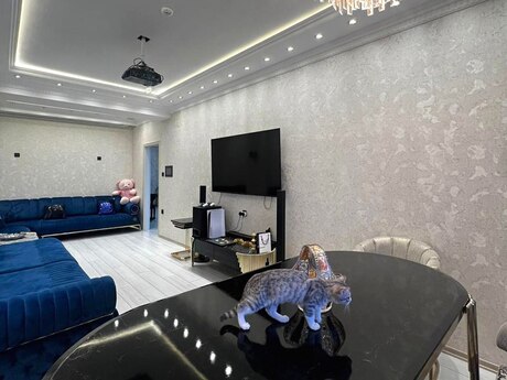 Объявление №5054059 - Баку, м. Кара Караев, 3-комн., 146 м², 4/17 этаж