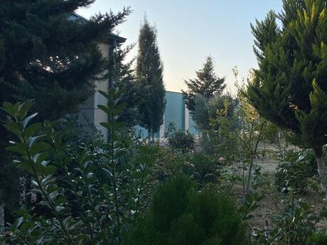 7 otaqlı həyət evi/bağ evi - Şüvəlan q. - 250 m²