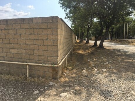 Torpaq - Şamaxı - 19 sot