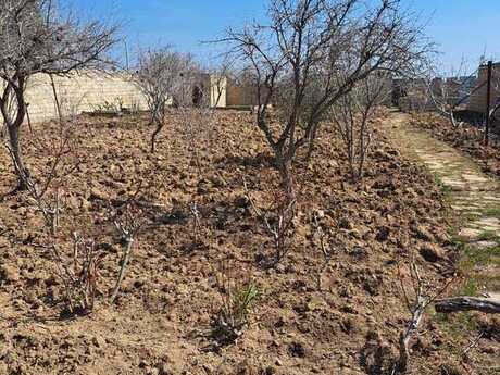 Torpaq - Səngəçal q. - 15 sot