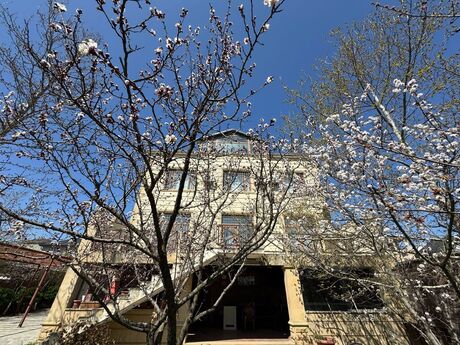7 otaqlı həyət evi/bağ evi - Badamdar q. - 600 m²