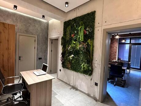 1 otaqlı ofis - Şah İsmayıl Xətai m. - 75 m²