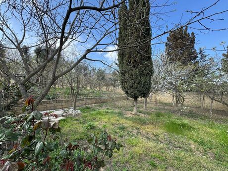 Объявление №5099355 - Баку, пос. Бадамдар, 95 сот