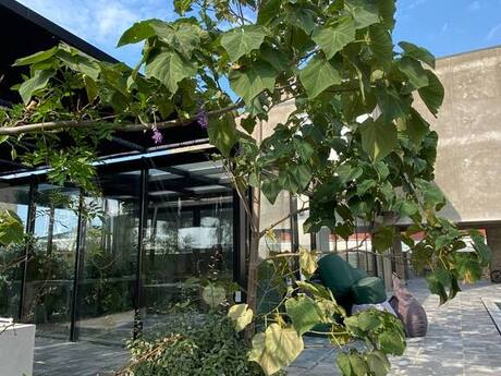 14 otaqlı həyət evi/bağ evi - Novxanı q. - 360 m²