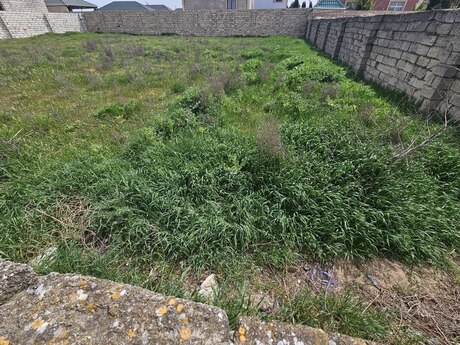 Elan №5107959 - Bakı, Mərdəkan q., 5 sot