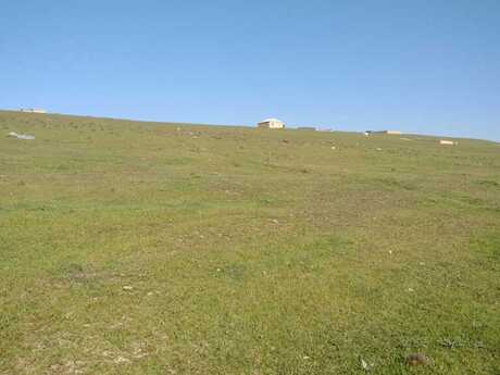 Объявление №5110942 - Баку, пос. Мехтиабад, 55 сот