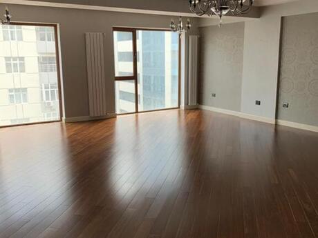 5 otaqlı yeni tikili - Şah İsmayıl Xətai m. - 280 m²