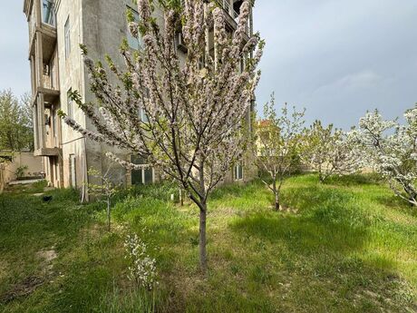 10 otaqlı həyət evi/bağ evi - Badamdar q. - 500 m²