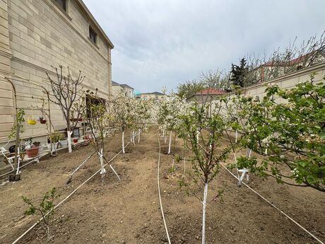 9 otaqlı həyət evi, 600 m², Badamdar: 850 000 ₼ 2