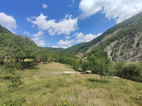 Torpaq - Şamaxı - 500 sot