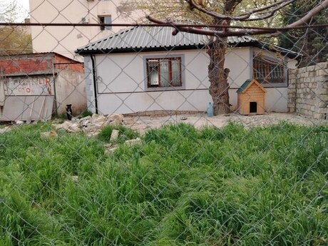 2 otaqlı həyət evi/bağ evi - Nəsimi m. - 80 m²