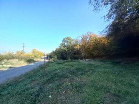 Obyekt - Quba - 1600 m²