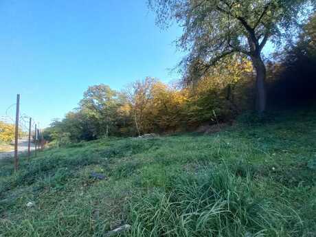 Obyekt - Quba - 1600 m²