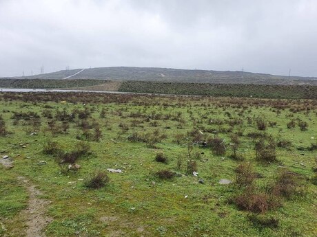 Torpaq - Zabrat q. - 30 sot