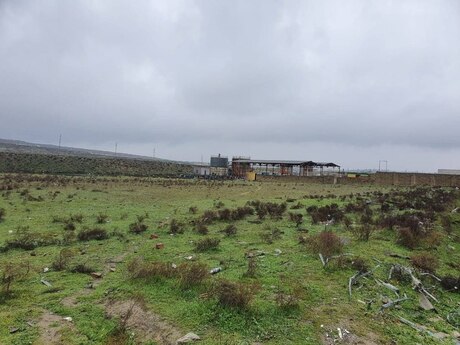 Torpaq - Zabrat q. - 30 sot