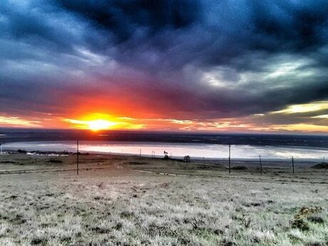 Torpaq - Hacıqabul - 5500 sot