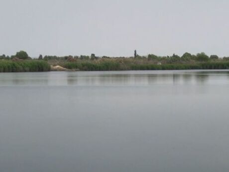 Torpaq - Hacıqabul - 5500 sot