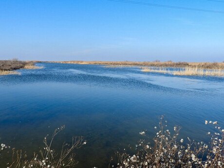 Torpaq - Hacıqabul - 5500 sot