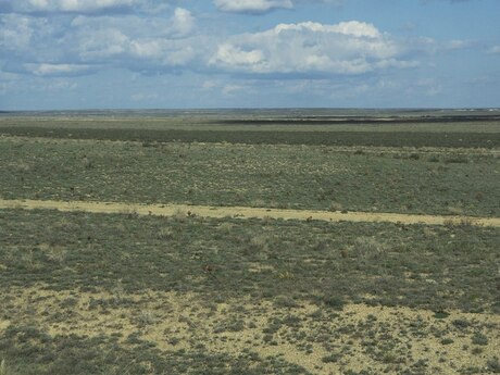 Torpaq - Hacıqabul - 5500 sot