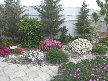 5 otaqlı həyət evi/bağ evi - Albalılıq q. - 200 m²
