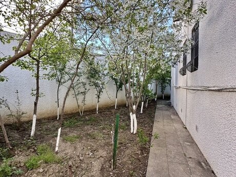 6 otaqlı həyət evi/bağ evi - Mərdəkan q. - 350 m²