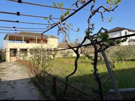 Elan №5147856 - Bakı, Bilgəh q., 24 sot