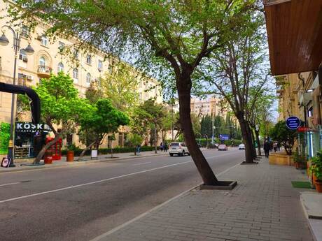 Elan №5157483 - Bakı, 28 May m., 250 m²