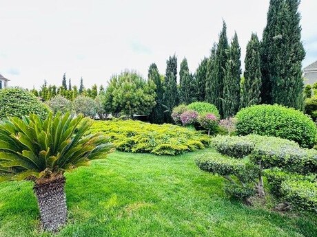 7 otaqlı həyət evi/bağ evi - Bilgəh q. - 500 m²