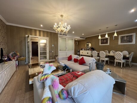 Kirayə 3 otaqlı mənzil, 150 m², Səbail: 3 000 ₼/ay 4