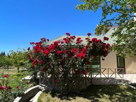 8 otaqlı həyət evi/bağ evi - Türkan q. - 400 m²