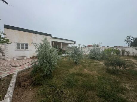 Torpaq - Şüvəlan q. - 12 sot