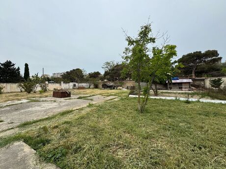 Torpaq - Badamdar q. - 6 sot