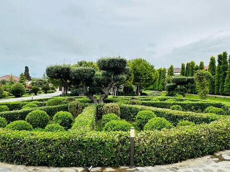 8 otaqlı həyət evi/bağ evi - Bilgəh q. - 800 m²