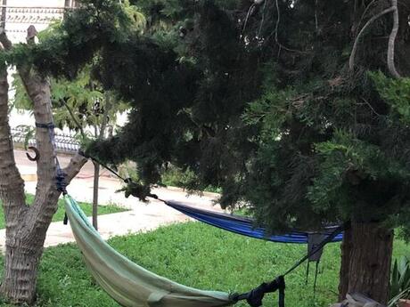 7 otaqlı həyət evi/bağ evi - Nardaran q. - 425 m²