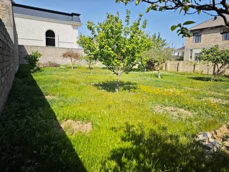 Elan №4891273 - Bakı, Buzovna q., 8 sot