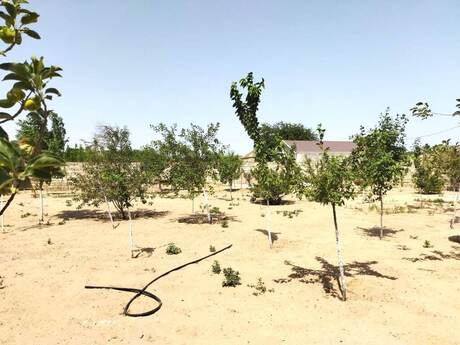 3 otaqlı həyət evi/bağ evi - Bilgəh q. - 100 m²