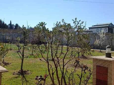 Torpaq - Salyan - 12 sot