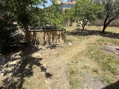 Объявление №5193197 - Баку, пос. Бадамдар, 7.7 сот