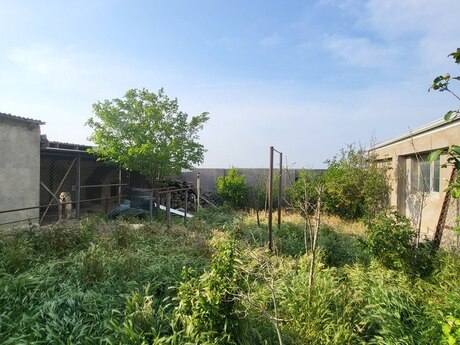 5 otaqlı həyət evi, 300 m², Sulutəpə: 155 000 ₼ 5