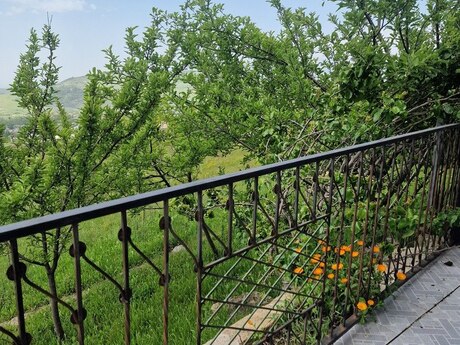 6 otaqlı həyət evi/bağ evi - Şamaxı - 263 m²