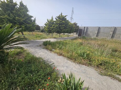 Elan №5202465 - Bakı, Şüvəlan q., 12 sot