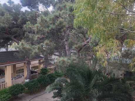 4-комн. дом/дача - пос. Мардакан - 200 м²