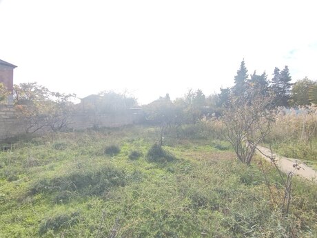 4 otaqlı həyət evi/bağ evi - Saray q. - 180 m²