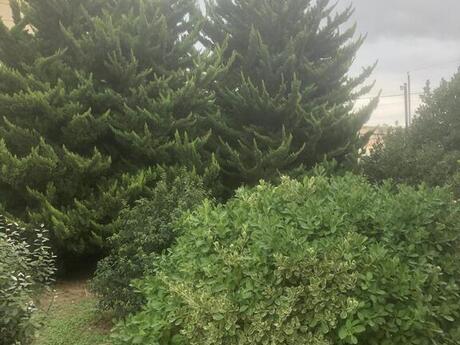 9-комн. дом/дача - пос. Мардакан - 340 м²