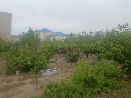 Torpaq - Novxanı q. - 6 sot