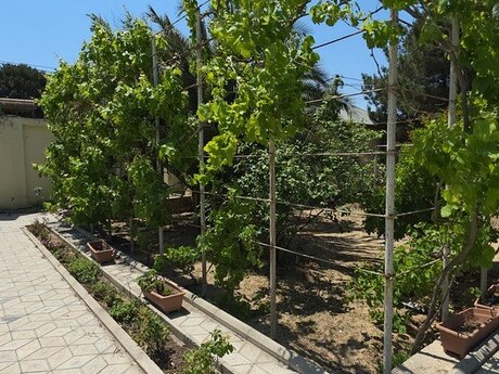 5 otaqlı həyət evi/bağ evi - Novxanı q. - 240 m²