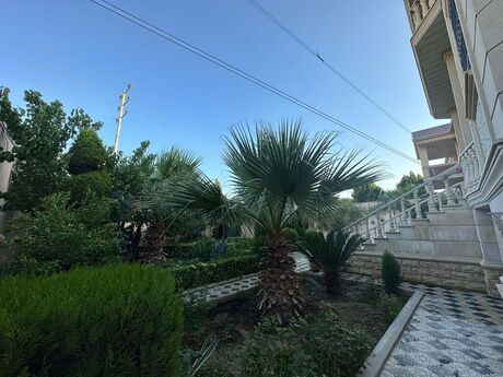 9 otaqlı həyət evi/bağ evi - Bakıxanov q. - 500 m²