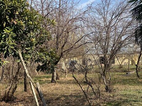 5 otaqlı həyət evi/bağ evi - Gəncə - 180 m²