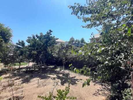 12-room house, 450 m², Novxanı: 350 000 ₼ 5